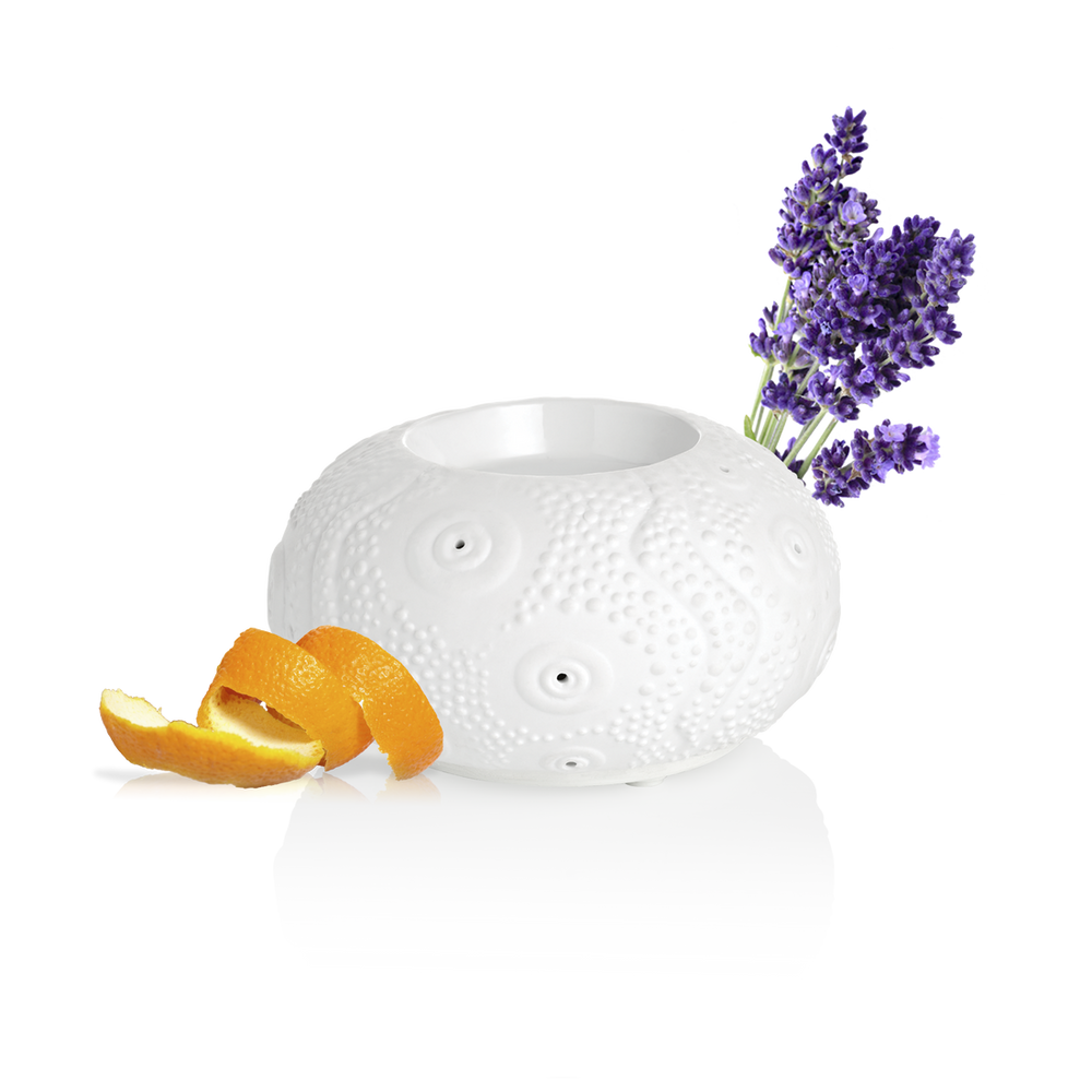 PURESS DIFFUSEUR CALVI 3146