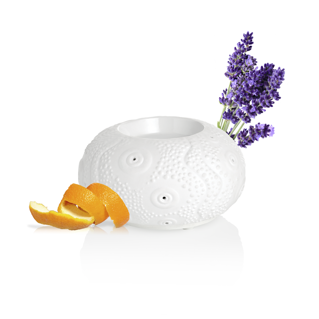 PURESS DIFFUSEUR CALVI 3146