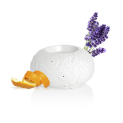 PURESS DIFFUSEUR CALVI 3146