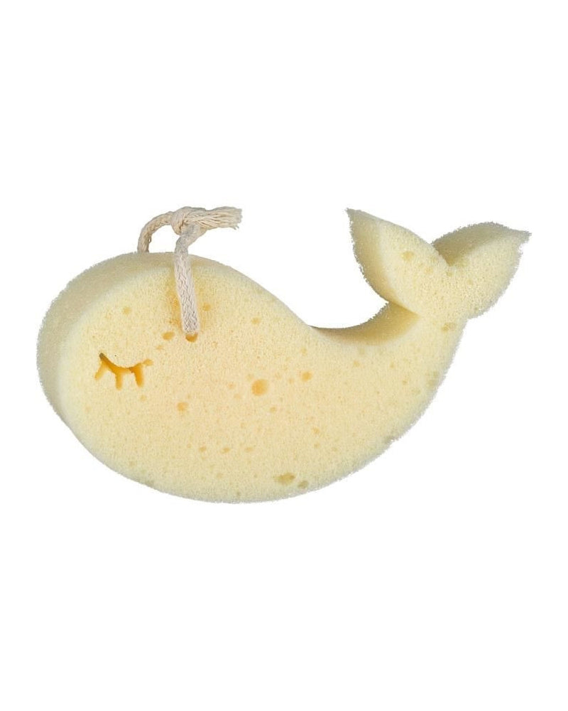 BB CONF EPONGE BALEINE 5765