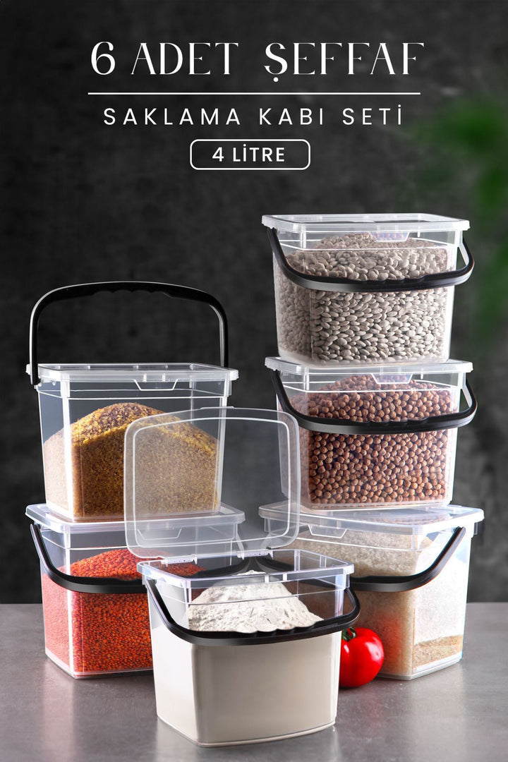 Lot de 6 Boîtes de Rangement Transparentes 4 L avec Poignées