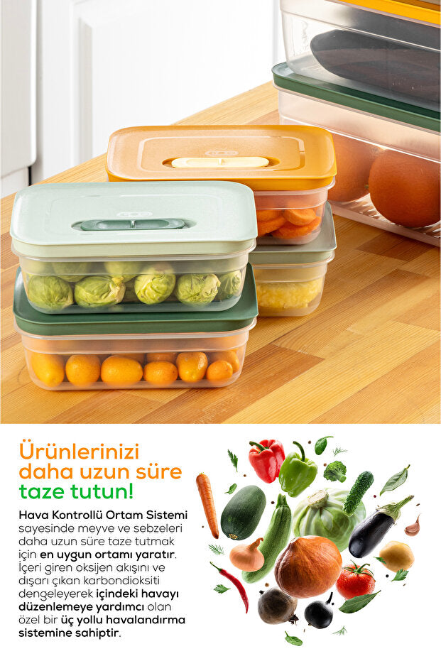 Lot de 6 Boîtes de Conservation pour Fruits et Légumes avec Aération