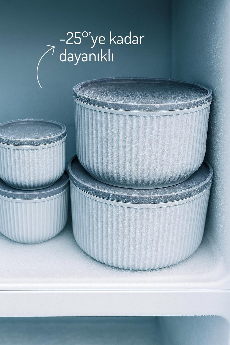 Set de 4 Boîtes de Rangement Rondes à Rayures - 2,5L, 1,5L, 0,80L, 0,45L