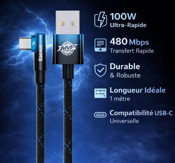 Baseus Câble USB-C Charge Rapide 100W Power Delivery 1m