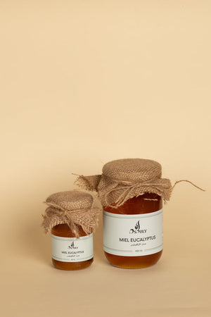 MIEL EUCALYPTUS 430g Osouly