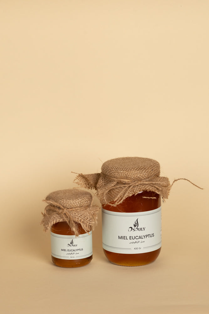 MIEL EUCALYPTUS 430g Osouly