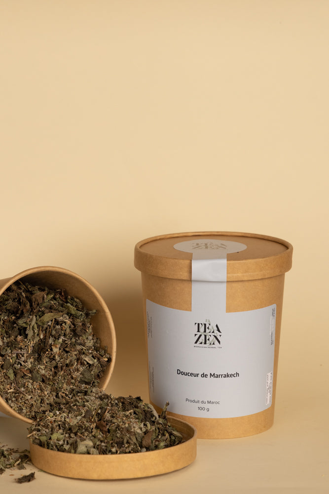 TISANE BRISE DE MARRAKECH 100g Osouly