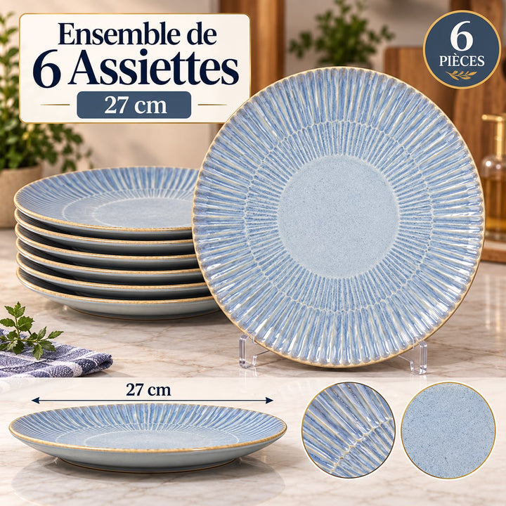 6 ASSIETTE EN PORCELAINE MESSA 27CM  DIFFERANT COULEUR