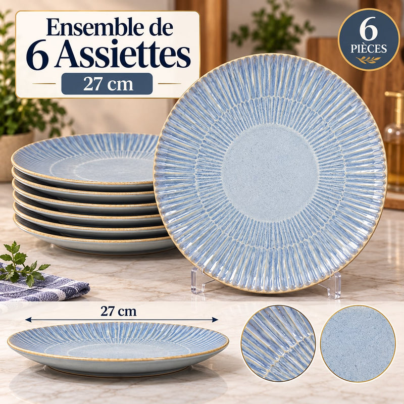 6 ASSIETTE EN PORCELAINE MESSA 27CM  DIFFERANT COULEUR
