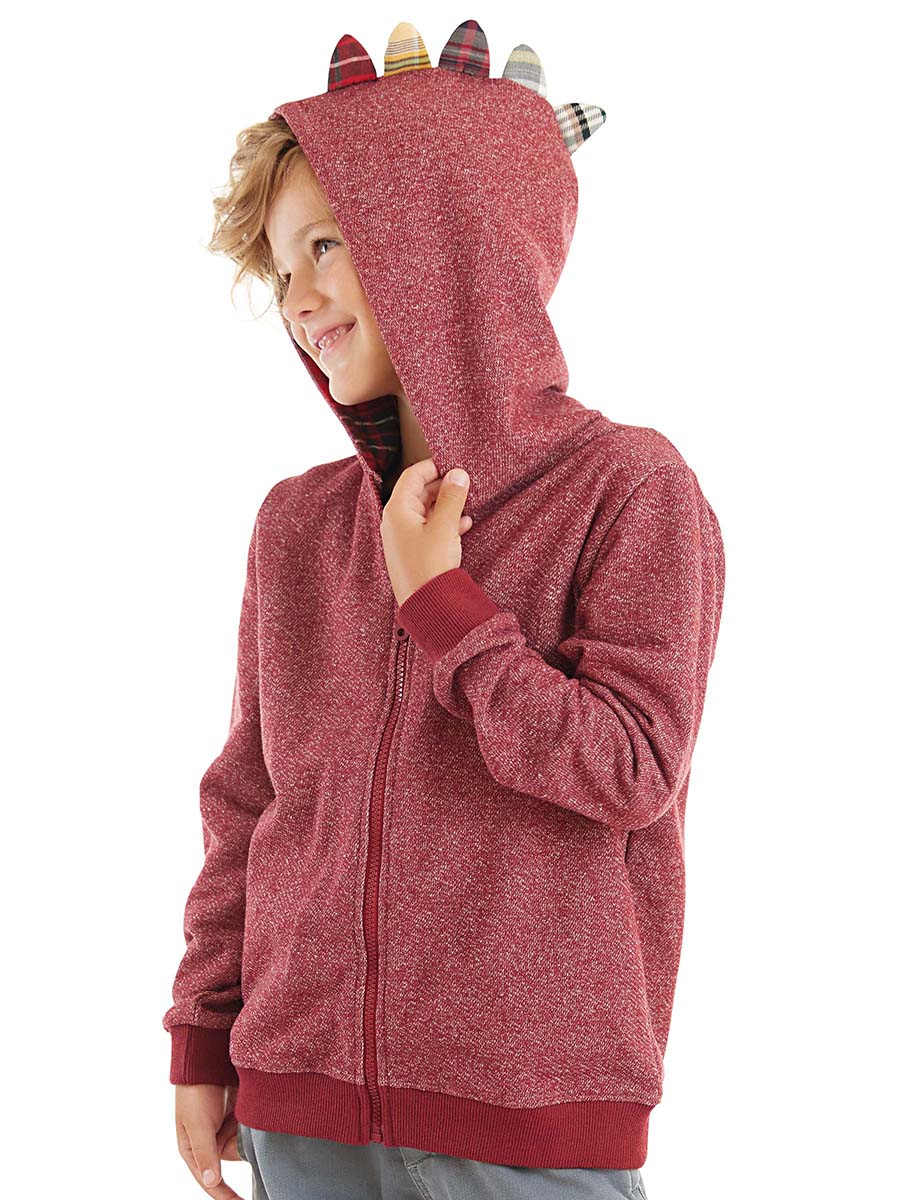 <tc>sweatshirt à capuche Dragon pour garçon</tc>