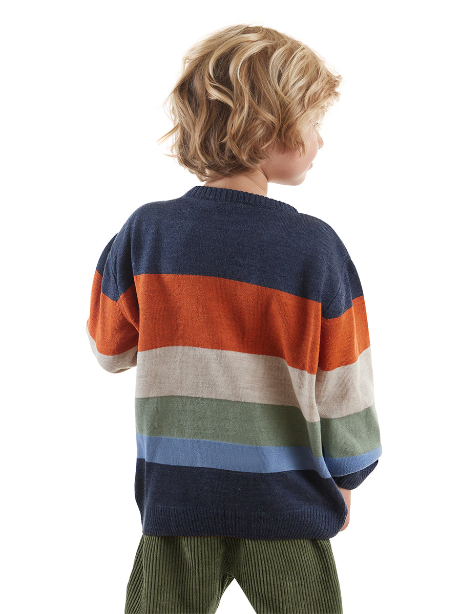 <tc>pull-over animaux pour garçon</tc>