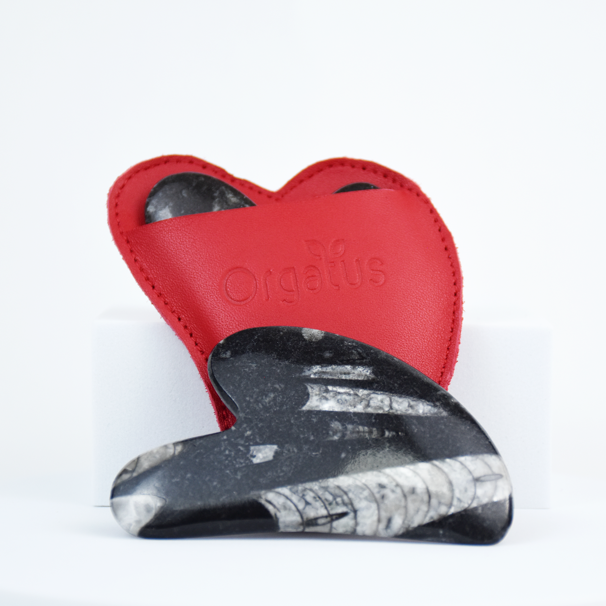 Gua Sha en Pierre Blanche