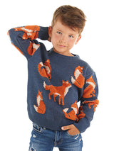 <tc>pull-over tricoté renard pour garçon</tc>