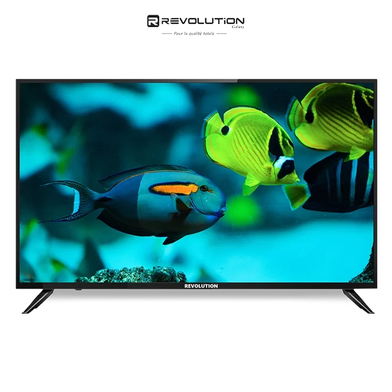 TV Revolution 50″, grand écran et connectivité multiple pour une expérience cinéma à la maison. Digitronics