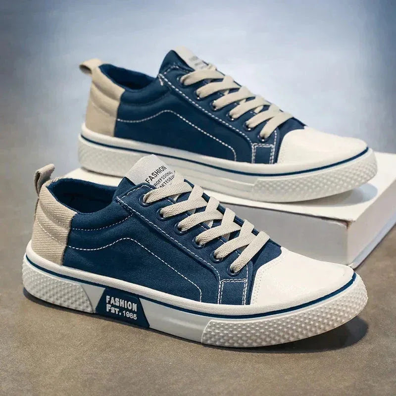 Chaussures Homme en Toile – Sneakers Skateboard Extérieures, Baskets Antidérapantes et Respirantes, Idéales pour la Marche et les Activités Casual
