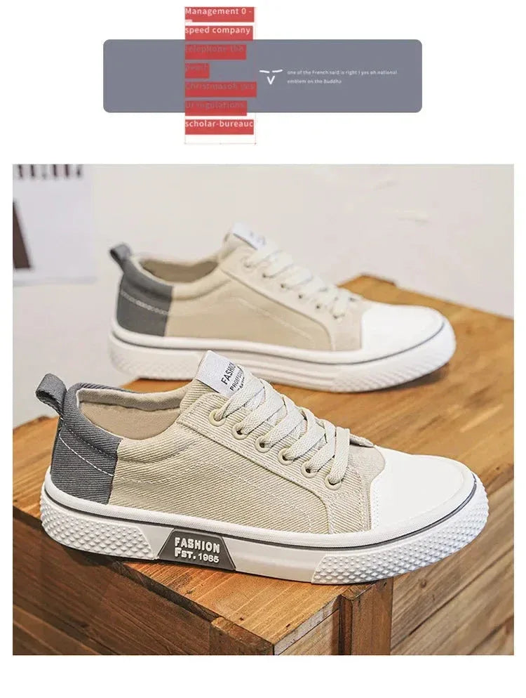 Chaussures Homme en Toile – Sneakers Skateboard Extérieures, Baskets Antidérapantes et Respirantes, Idéales pour la Marche et les Activités Casual