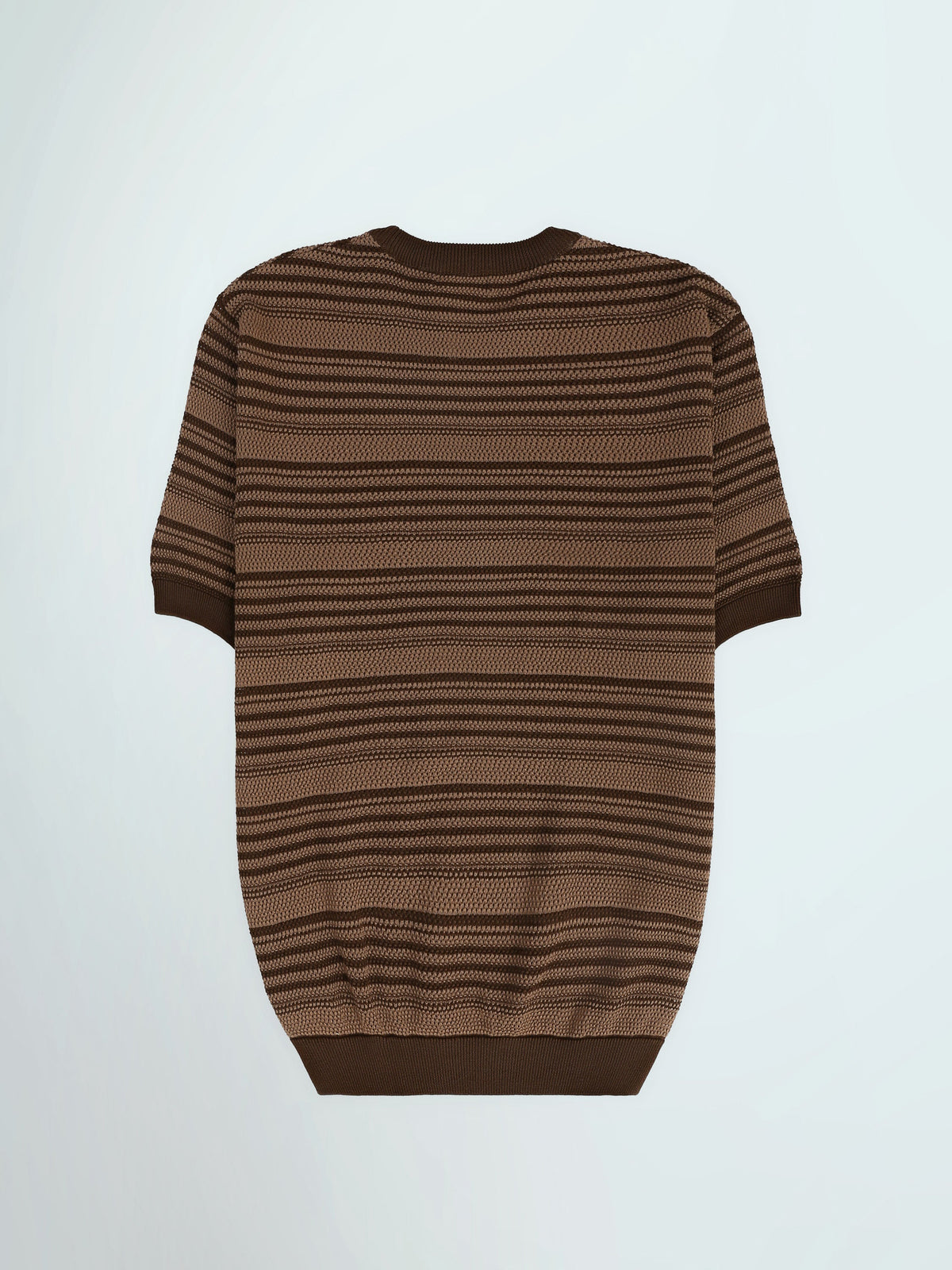 T-Shirt Homme Regular Fit en Maille Texturée à Rayures - TSH26S20000019TM1