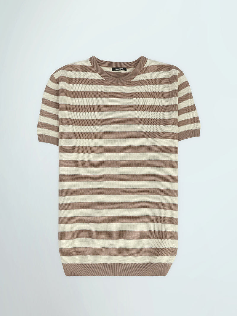 T-Shirt Homme Regular Fit en Maille à Rayures - TSH26SKRS20005TM1
