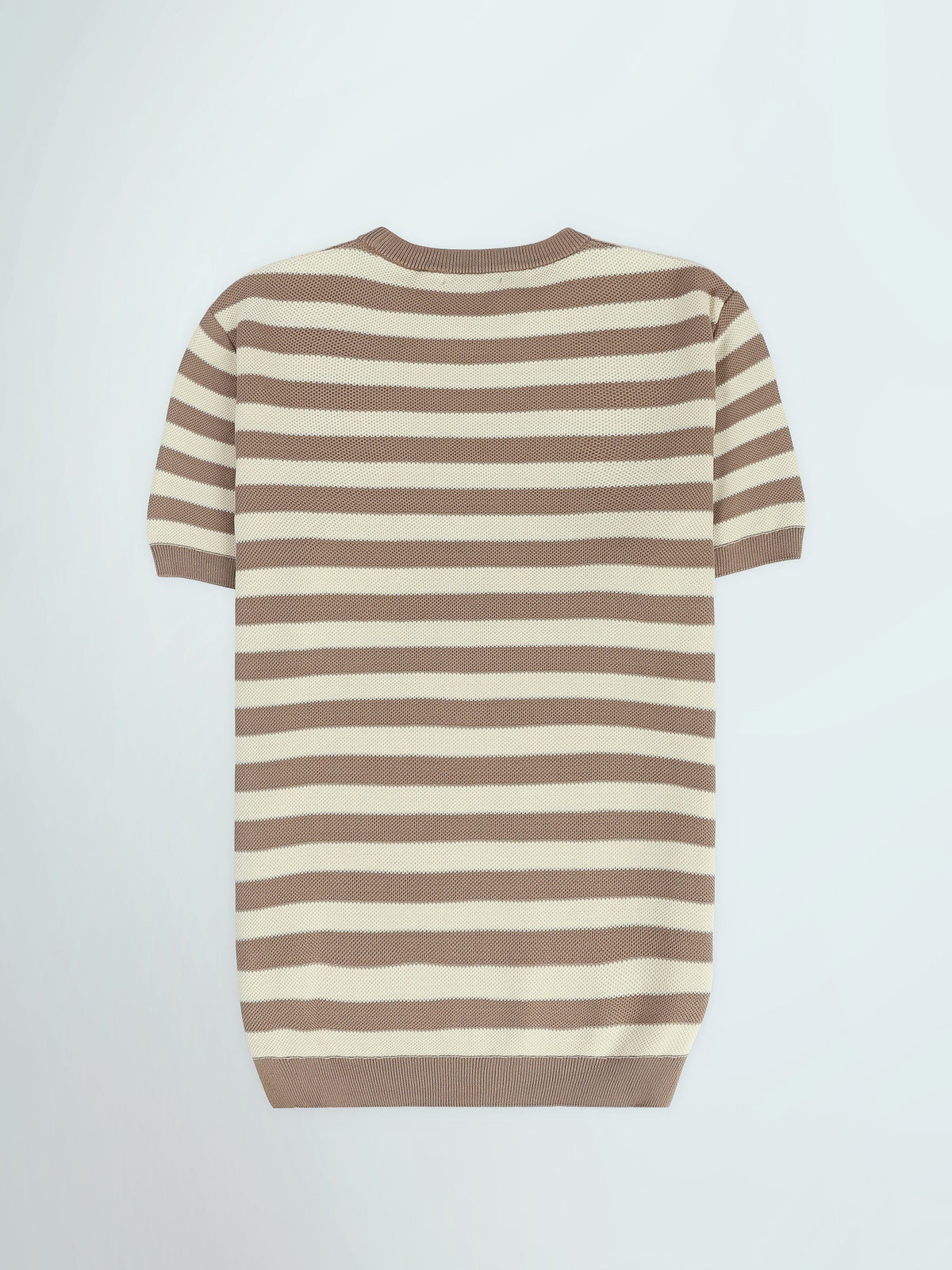 T-Shirt Homme Regular Fit en Maille à Rayures - TSH26SKRS20005TM1