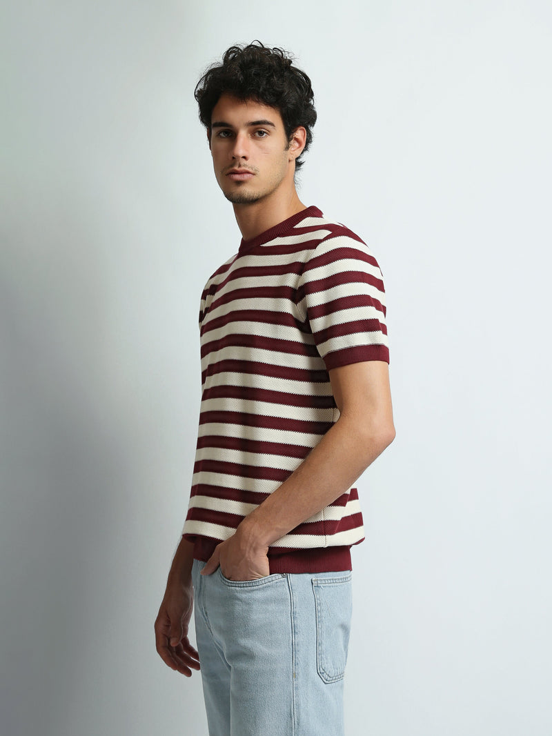 T-Shirt Homme Regular Fit en Maille à Rayures - TSH26SKRS20005TM1