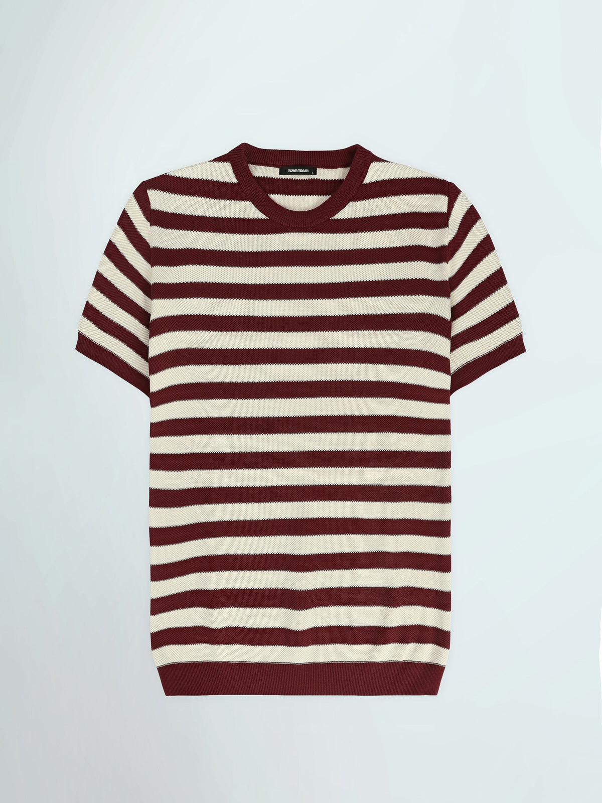 T-Shirt Homme Regular Fit en Maille à Rayures - TSH26SKRS20005TM1
