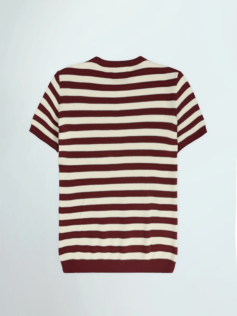 T-Shirt Homme Regular Fit en Maille à Rayures - TSH26SKRS20005TM1