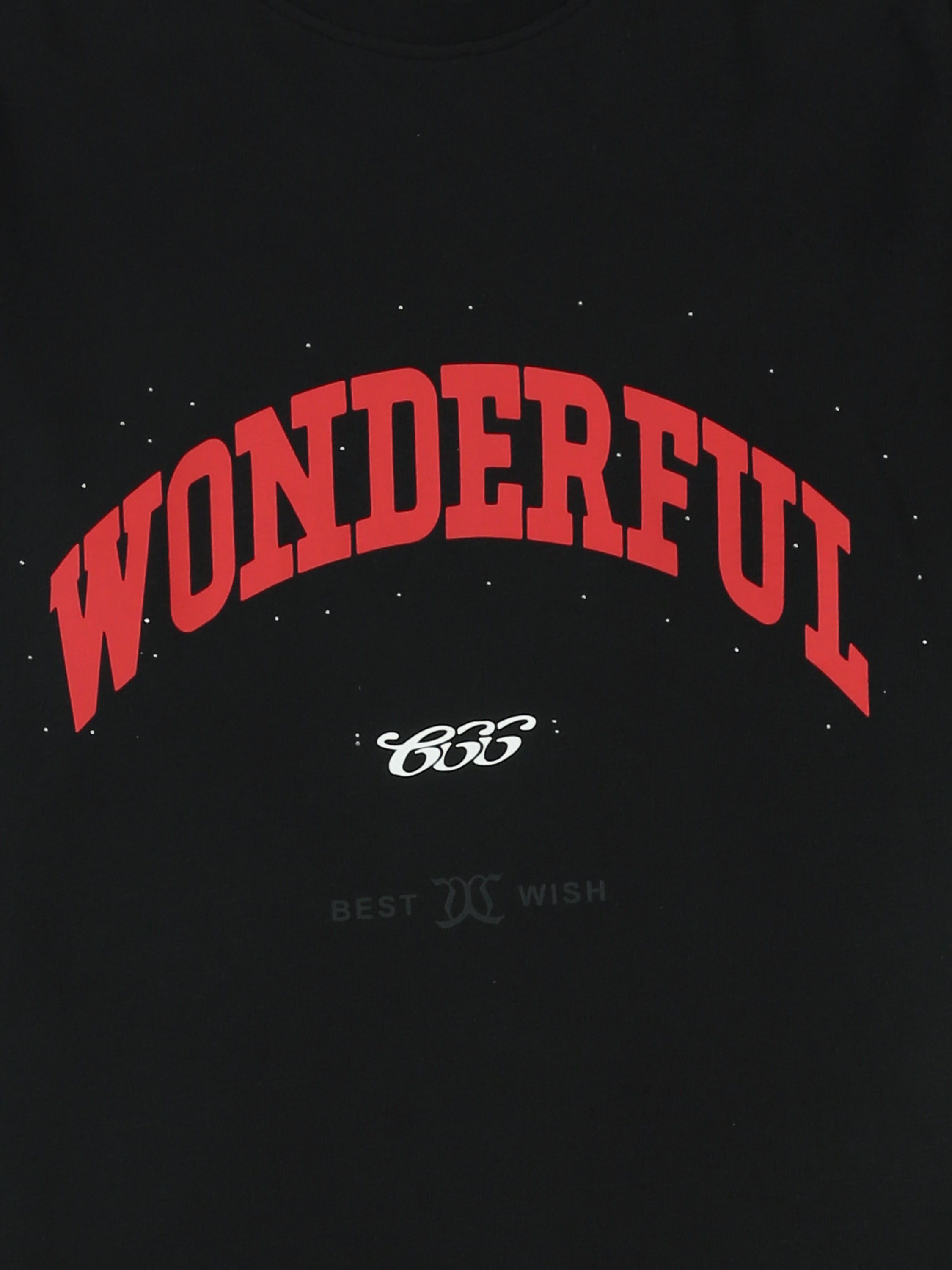 T-Shirt Homme Oversize à Imprimé Wonderful – Style Streetwear - TSH26SPR20291TM1