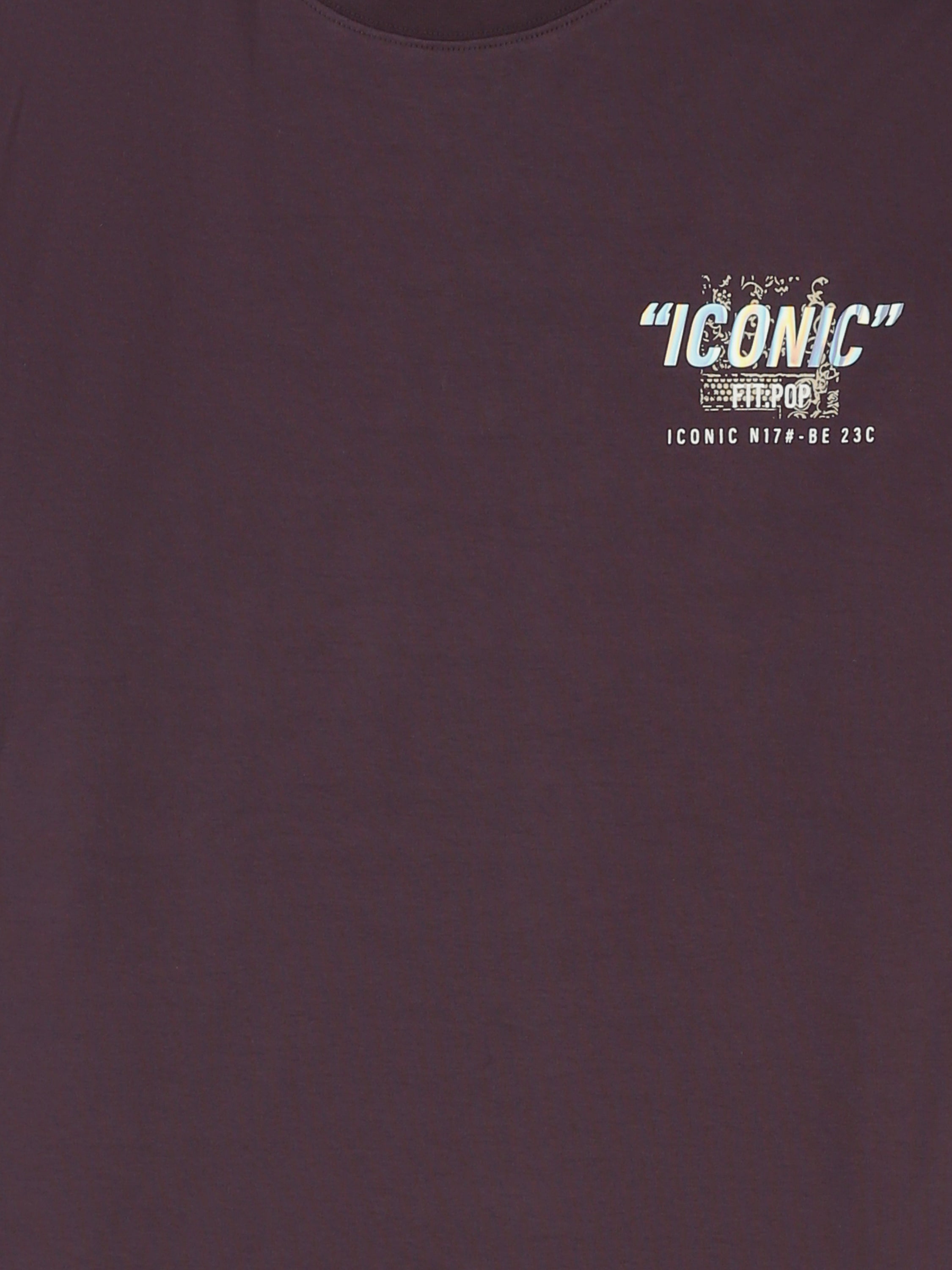 T-Shirt Homme Oversize à Imprimé Iconic – Style Streetwear - TSH26SPRO20084TM1
