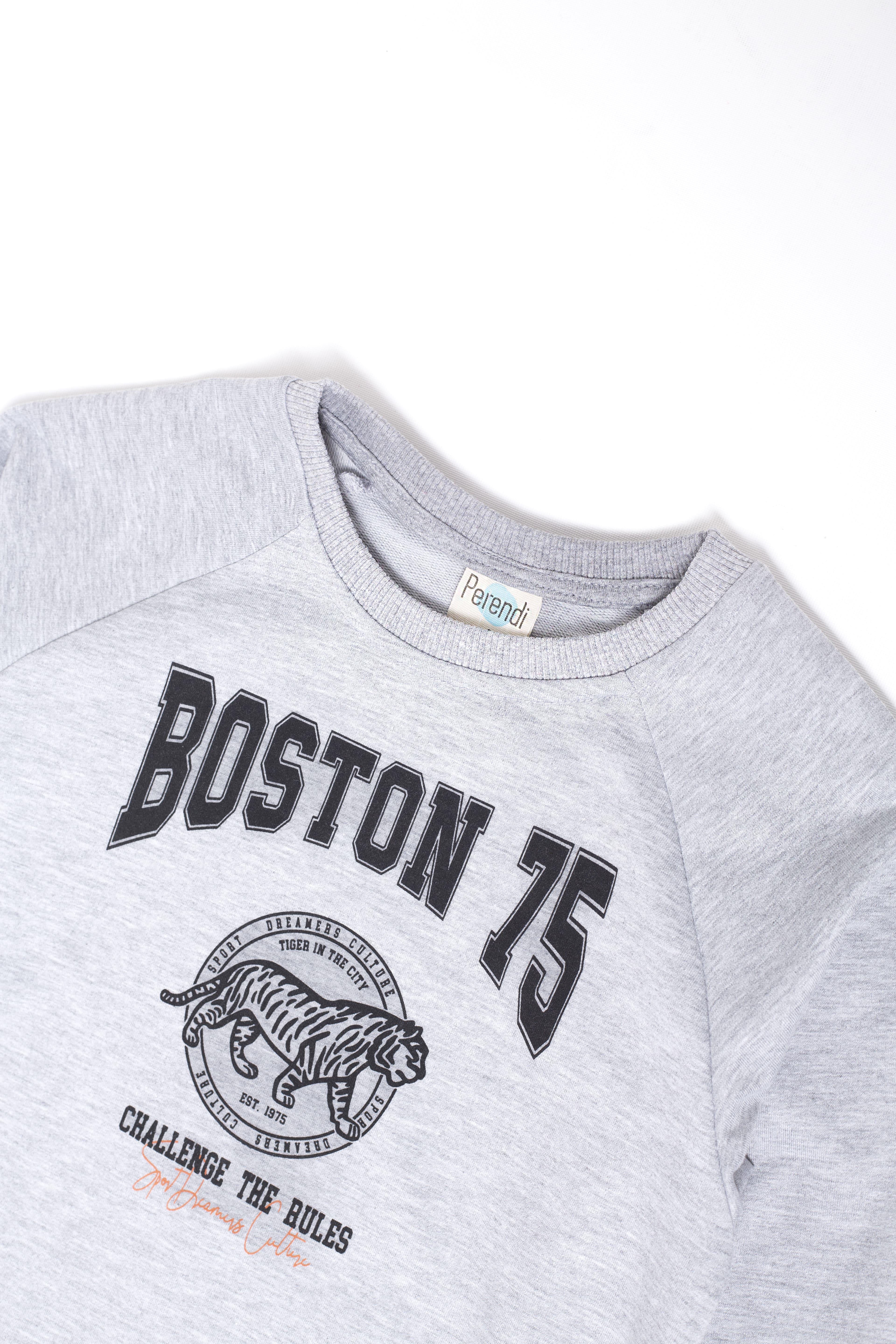 <tc>Sweatshirt garçon avec imprimé "Boston"</tc>