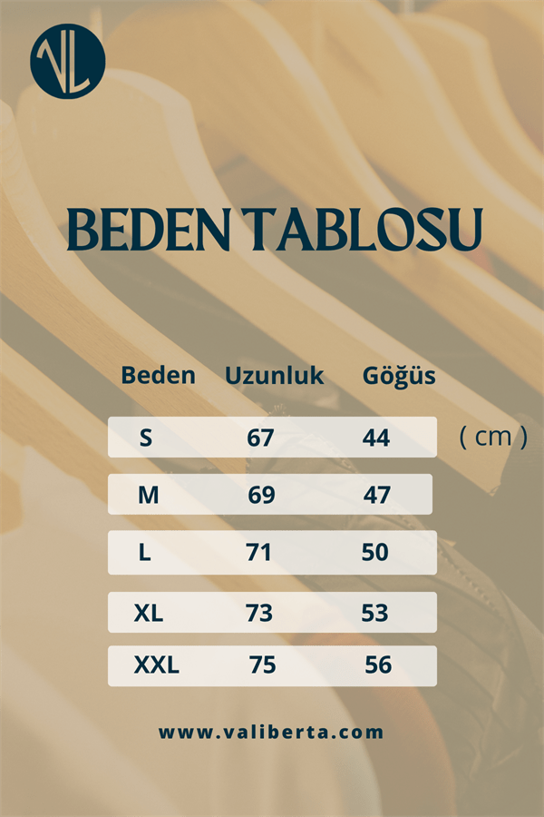 çizgi desenli kisa kol fit gömlek - Justyol