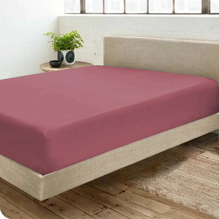 Drap housse Percale 100 % coton Premium