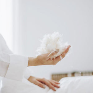 Couette premium mi-saison enveloppe 100% coton - Duvet de canard 300g Maison good and well