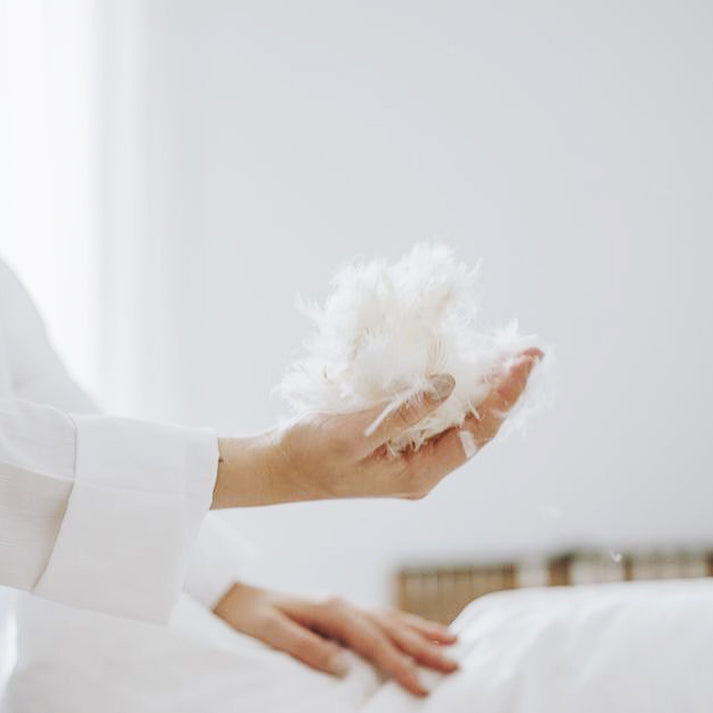 Couette premium mi-saison enveloppe 100% coton - Duvet de canard 300g Maison good and well