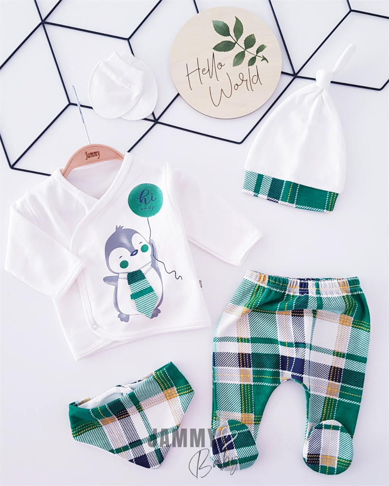 plaid penguin 5 piece newborn set