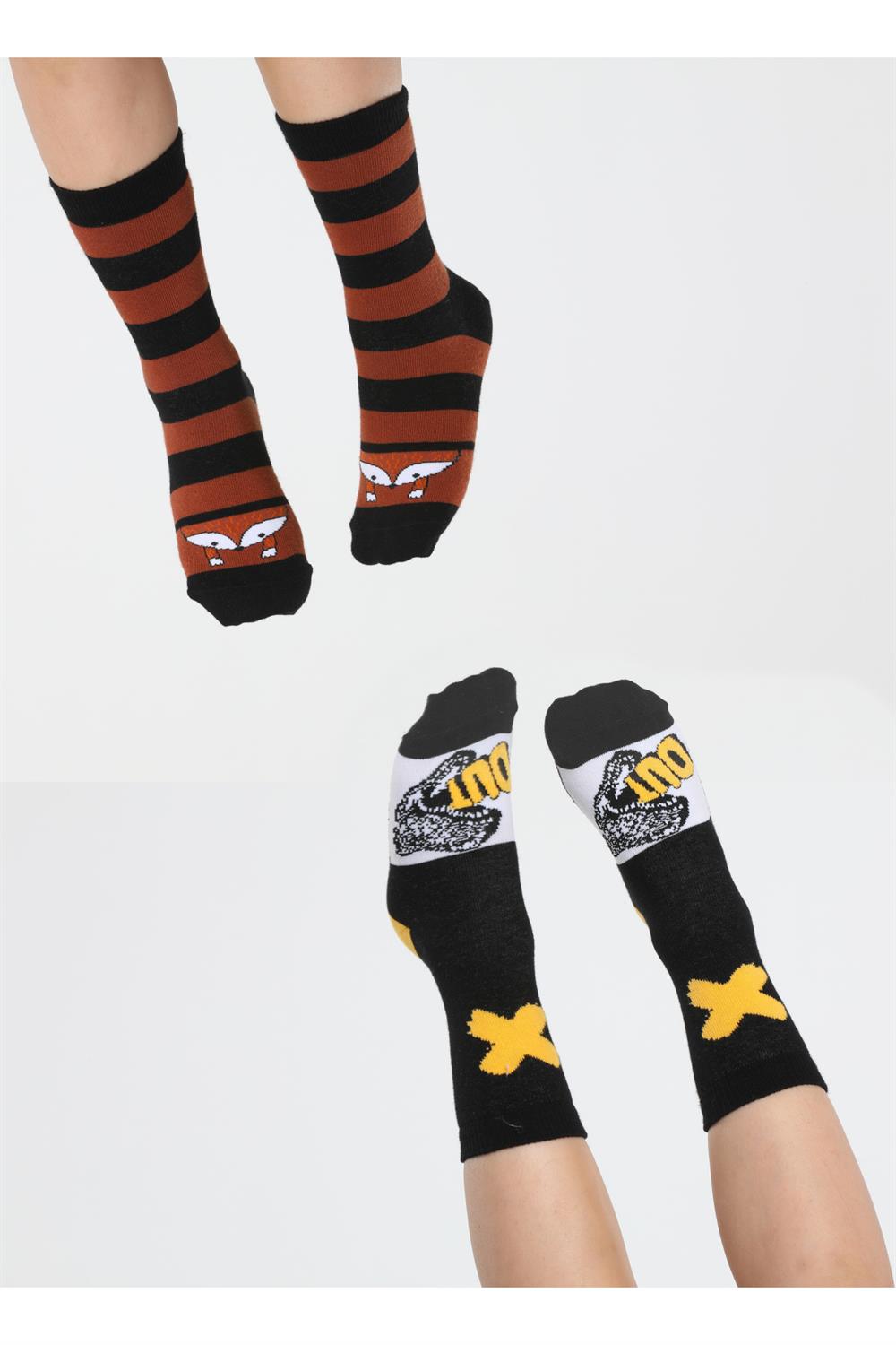 fox&dino pack de 2 chaussettes pour garçon