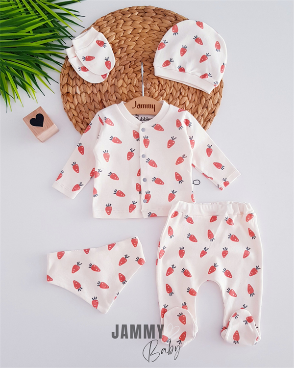 carrot themed 5 piece newborn set