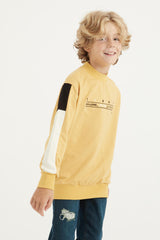 <tc>Sweatshirt garçon col rond avec broderie, détails à bandes et coupe standard - 11024</tc>