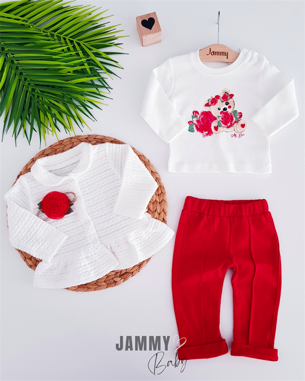 rose cardigan 3-piece set