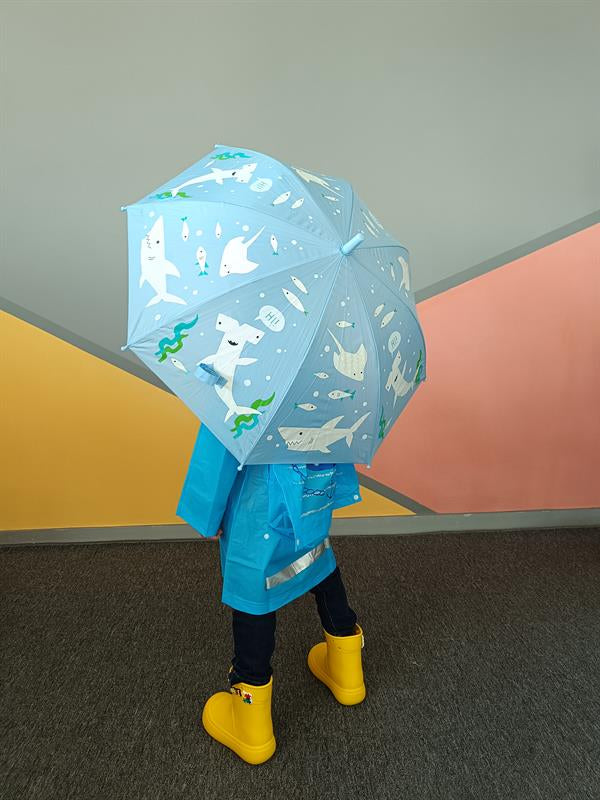 <tc>Parapluie pour Garçon qui Change de Couleur sous la Pluie</tc>