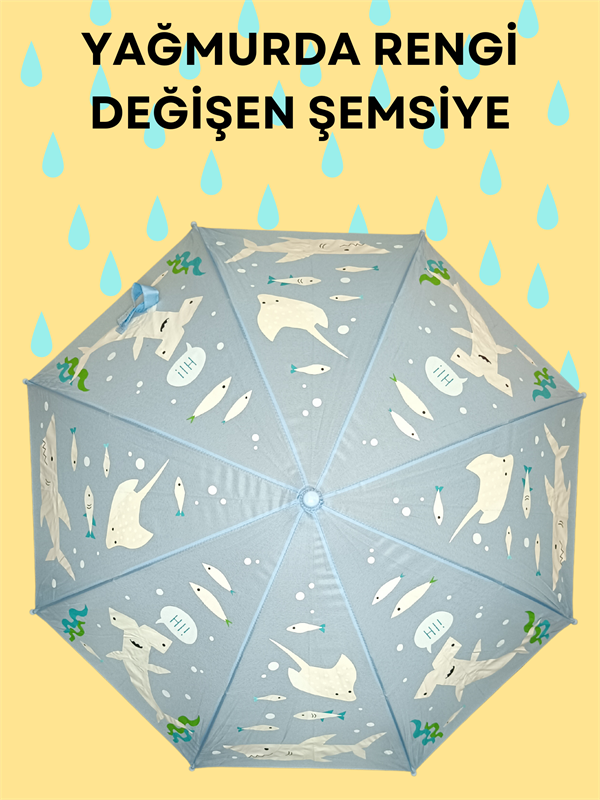 <tc>Parapluie pour Garçon qui Change de Couleur sous la Pluie</tc>